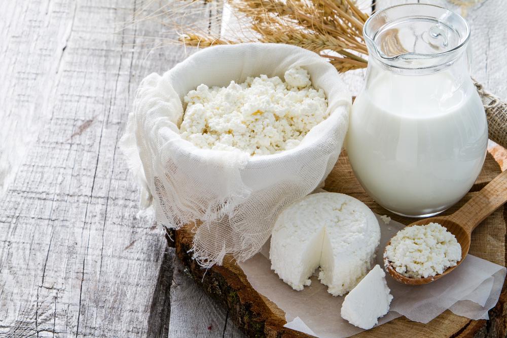 Teil 2 Casein Welches Proteinpulver ist das Richtige für mich? GYMAHOLICS